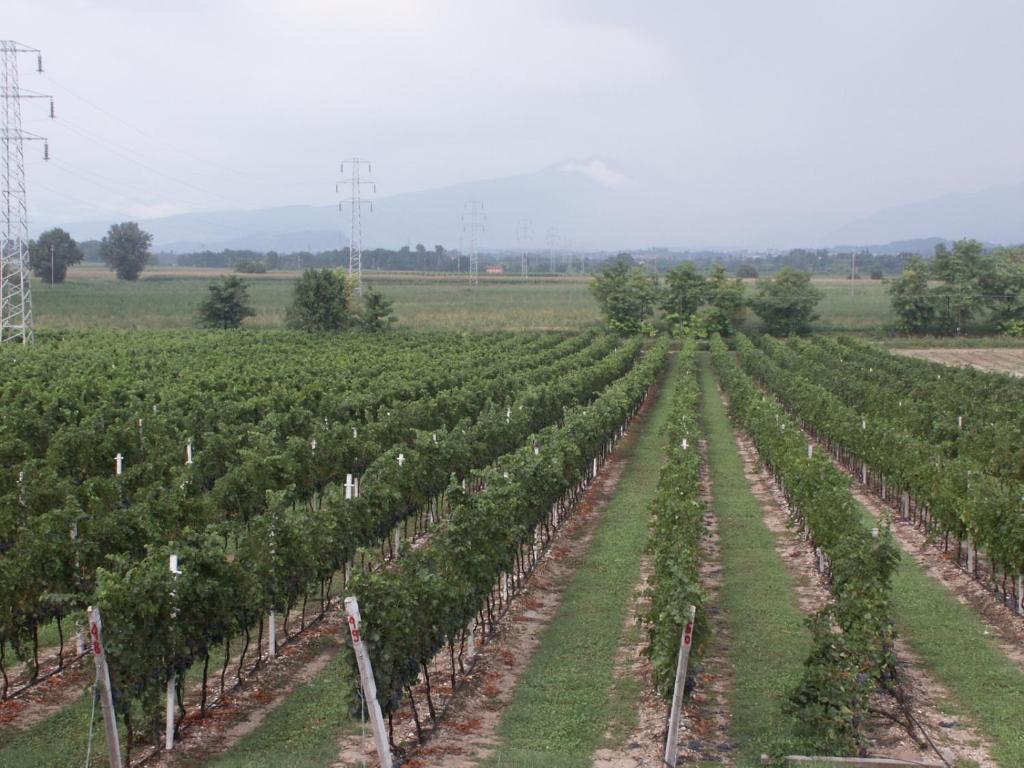 سونا Agriturismo Colombarola المظهر الخارجي الصورة